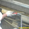 spazzolamento della canaletta di condensa